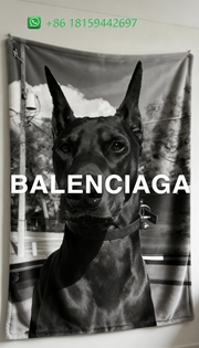 Balenciaga Throw Blankets